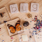 Word Building Kit