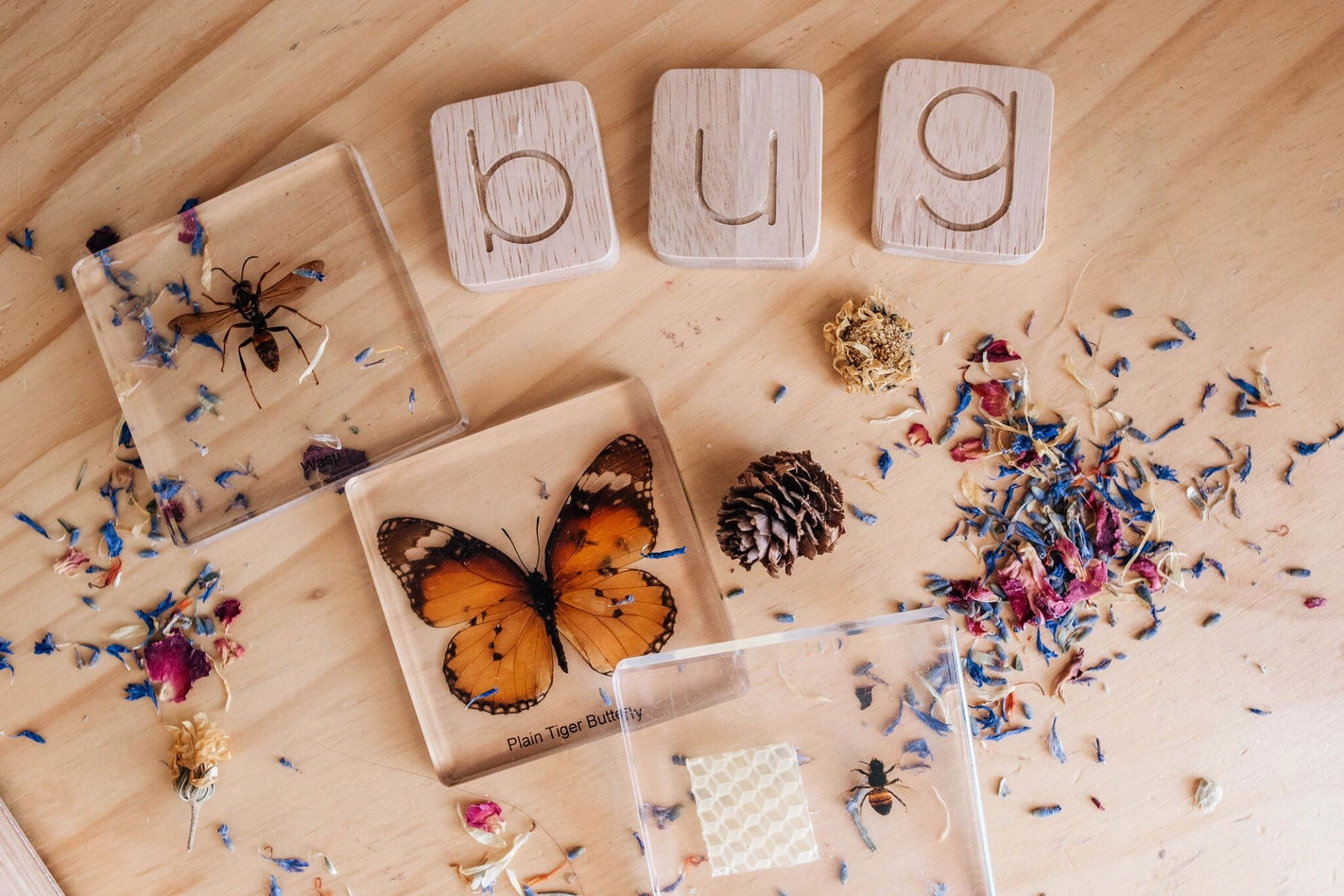 Word Building Kit