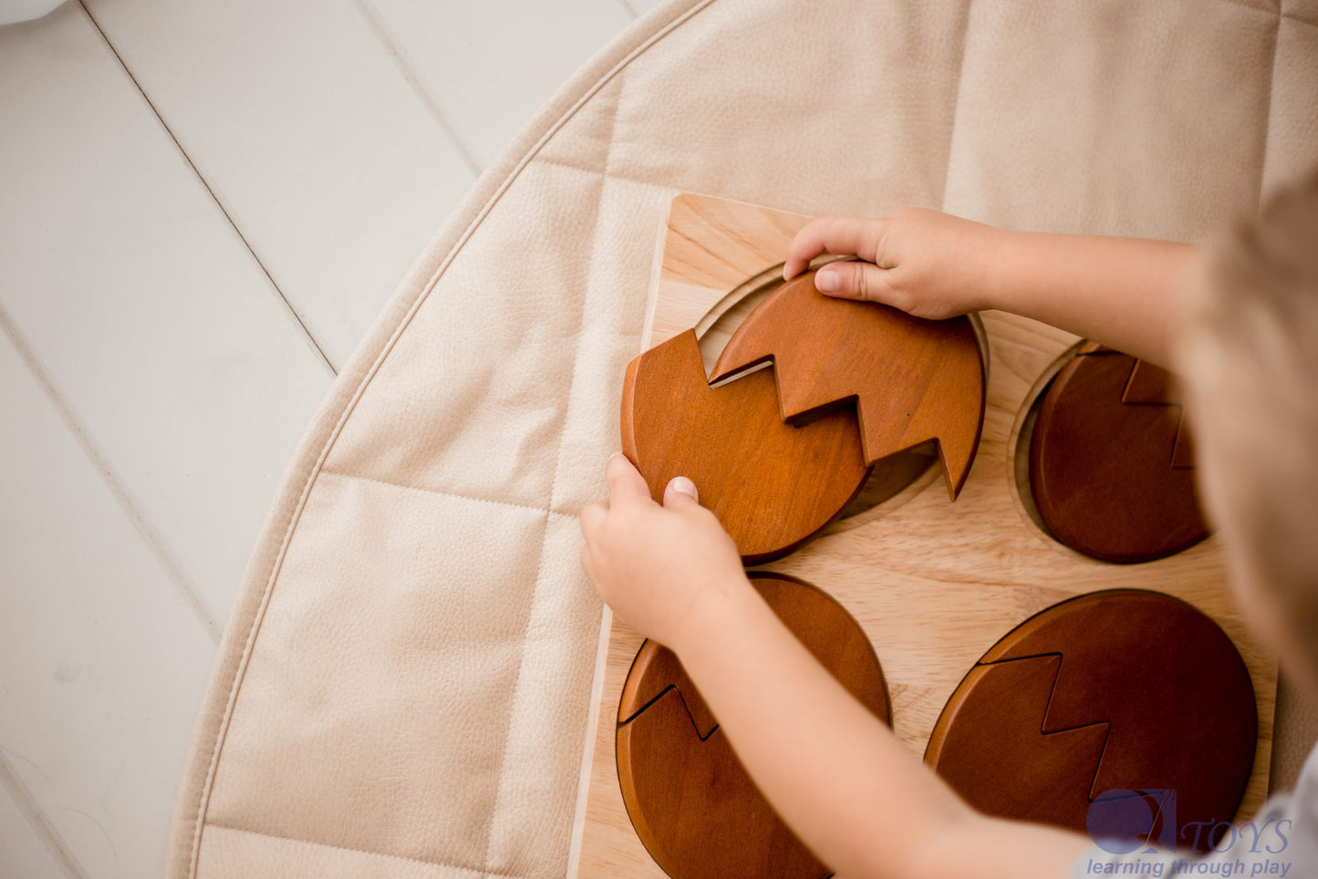 Dinosaur Hatching Puzzle